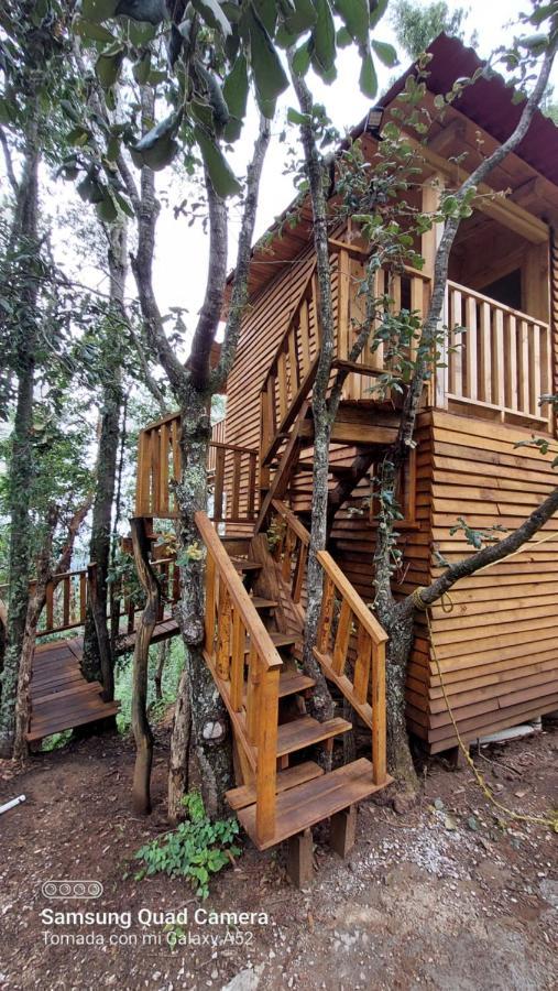 Cabaña en el Bosque de San José del Pacífico El Pacifico Exterior foto