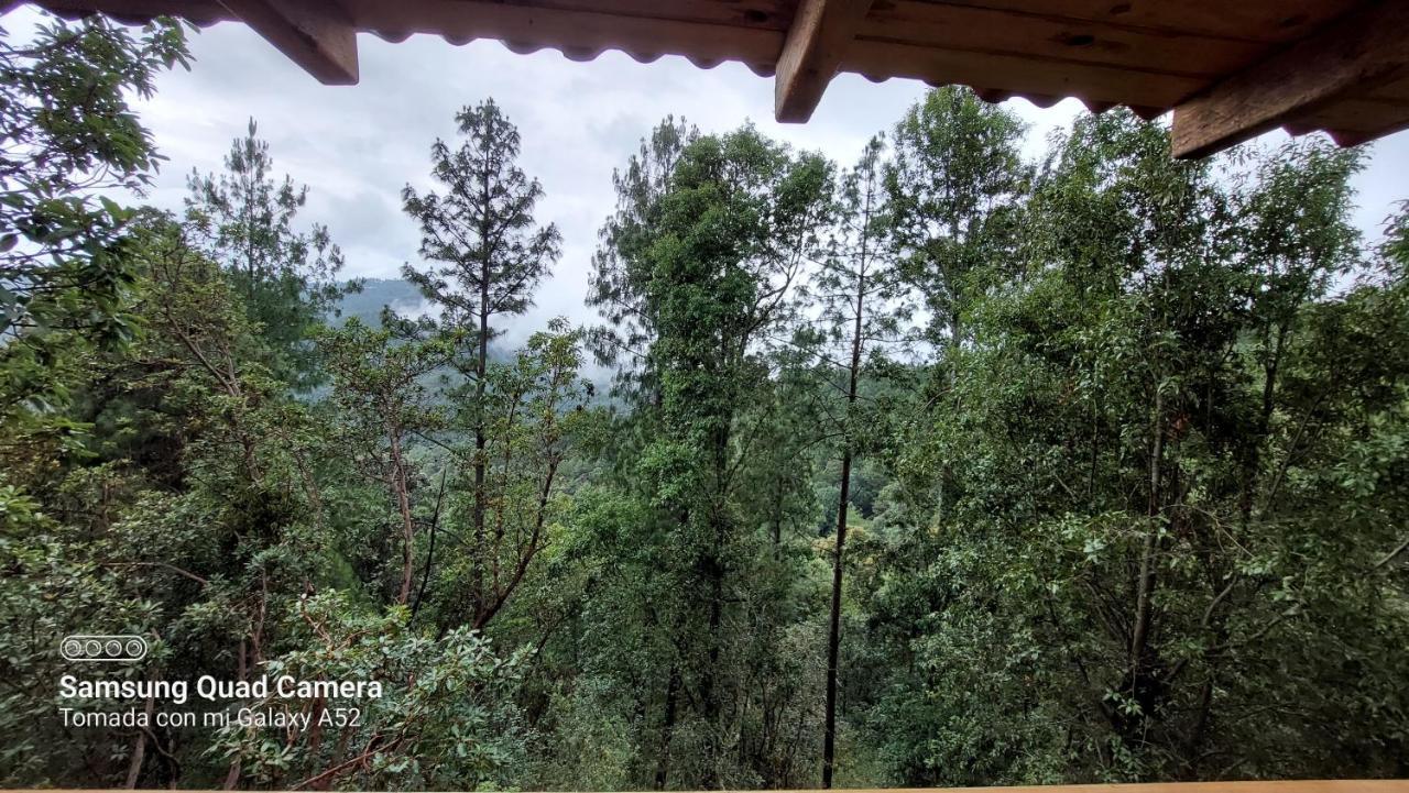Cabaña en el Bosque de San José del Pacífico El Pacifico Exterior foto