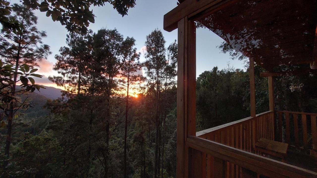 Cabaña en el Bosque de San José del Pacífico El Pacifico Exterior foto