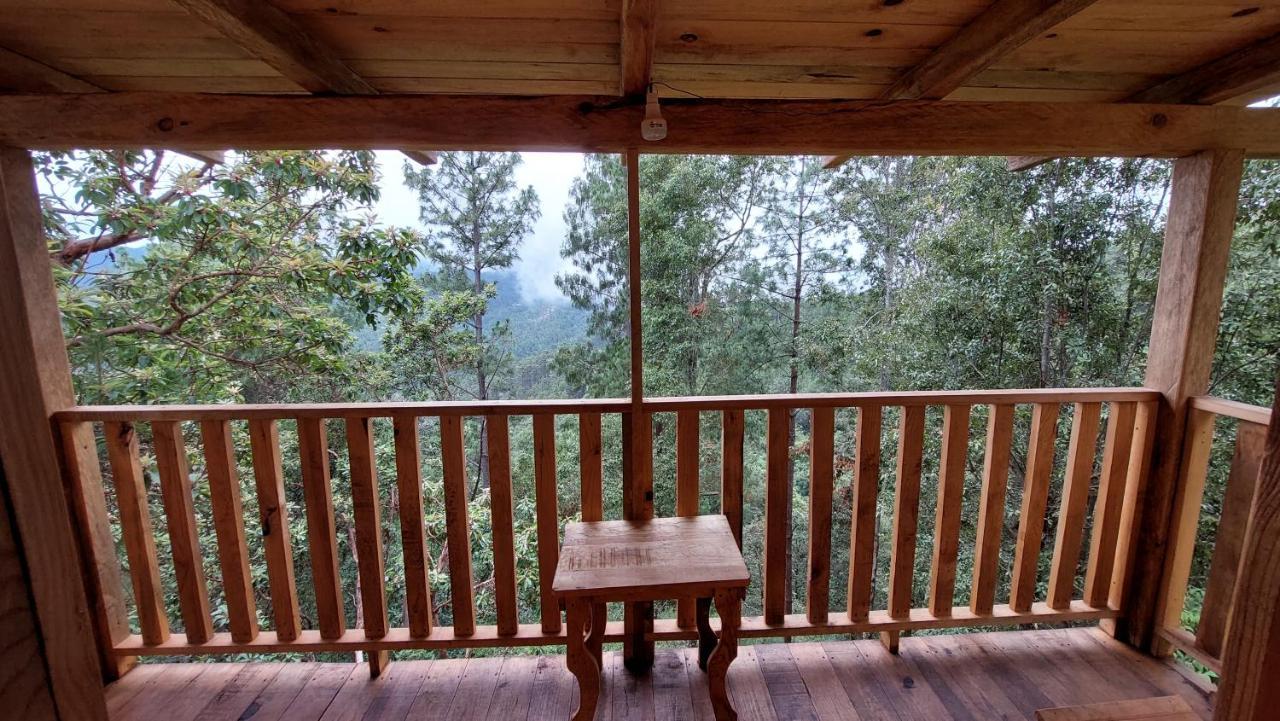 Cabaña en el Bosque de San José del Pacífico El Pacifico Exterior foto